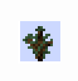 sapling spruce2.png