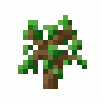 sapling2.png