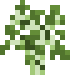 sapling birch.png