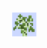 sapling birch2.png