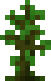 sapling jungle.png