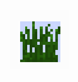 tall grass i2.png