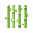 sugarcane2.png